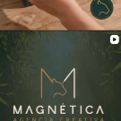 Logo Magnética: Puma Dorado